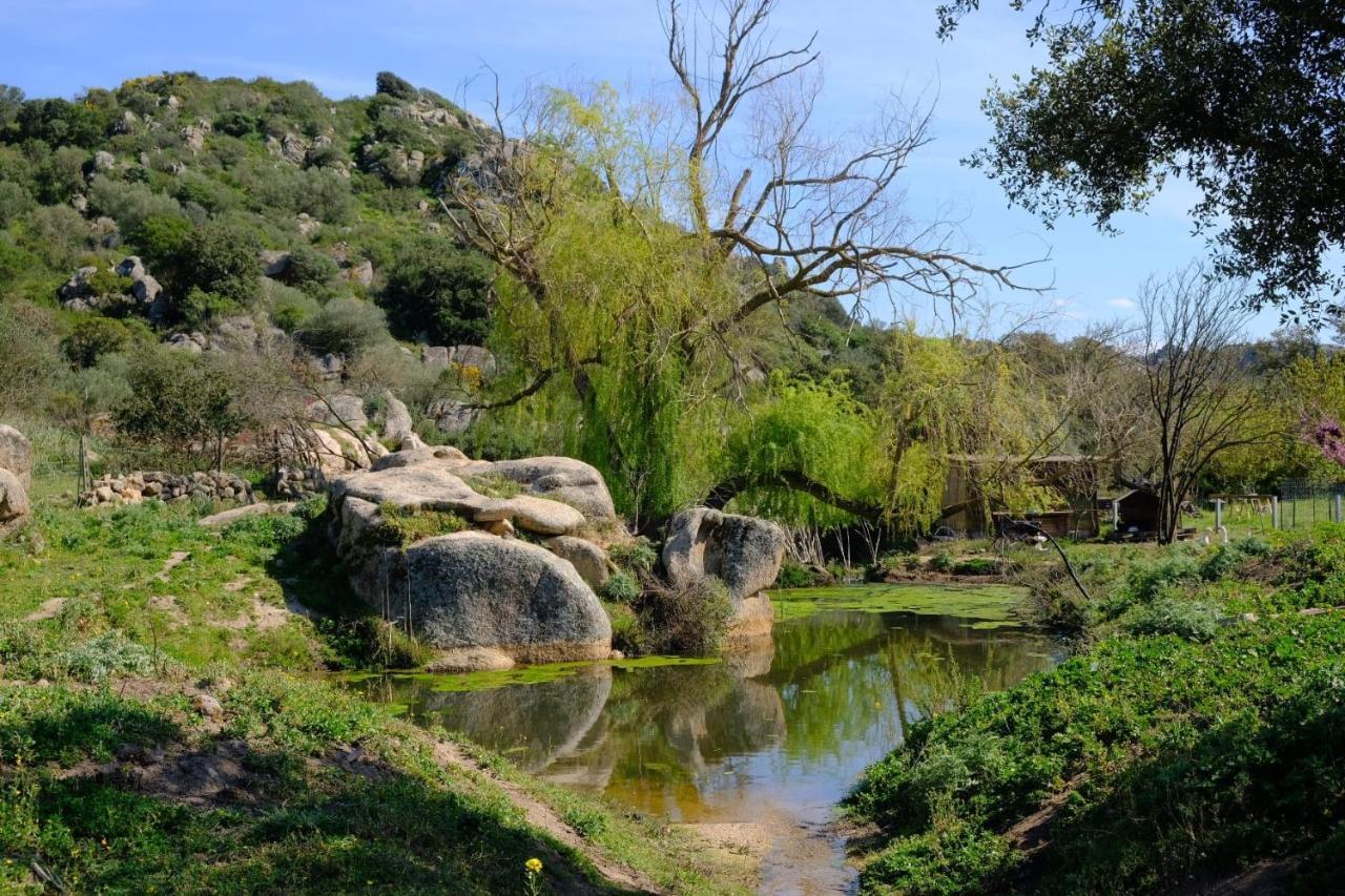Il Nuraghe Del Lago Coghinas Oschiri Zewnętrze zdjęcie