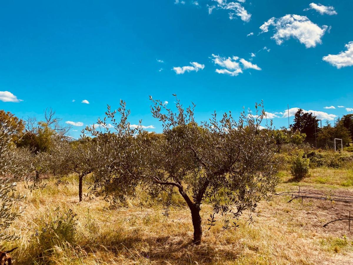 Il Nuraghe Del Lago Coghinas Oschiri Zewnętrze zdjęcie