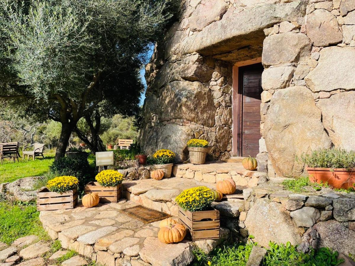 Il Nuraghe Del Lago Coghinas Oschiri Zewnętrze zdjęcie