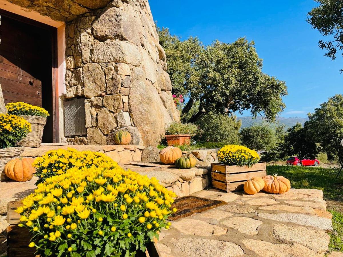 Il Nuraghe Del Lago Coghinas Oschiri Zewnętrze zdjęcie