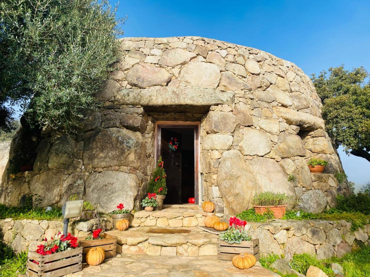 Il Nuraghe Del Lago Coghinas Oschiri Zewnętrze zdjęcie
