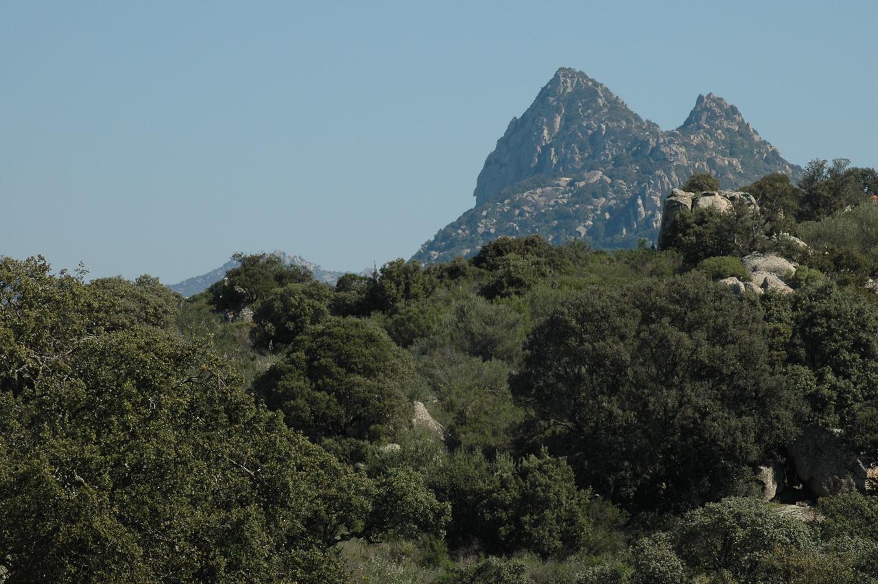 Il Nuraghe Del Lago Coghinas Oschiri Zewnętrze zdjęcie
